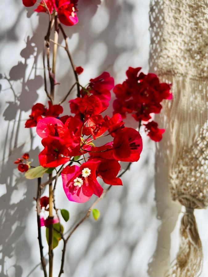 Pallada Boutique Tinos ภายนอก รูปภาพ