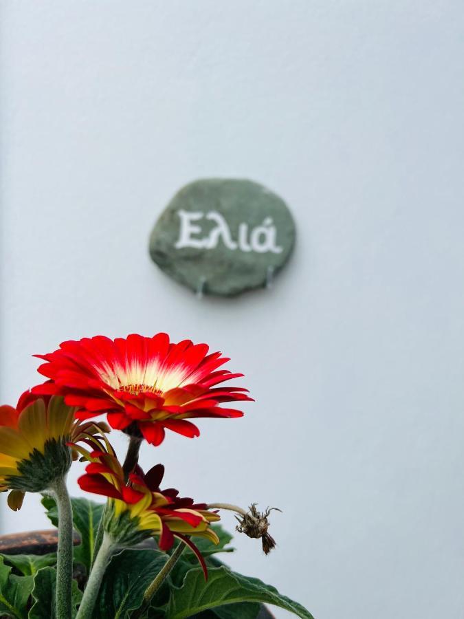 Pallada Boutique Tinos ภายนอก รูปภาพ